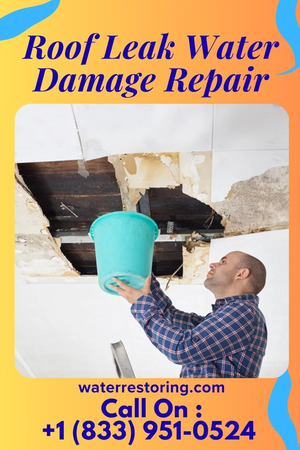 Roof Leak Water Damage Repair in Paul, ID